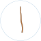 cuolda